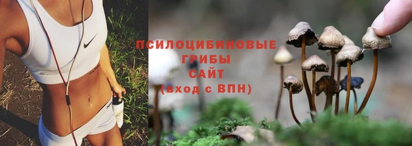 спайс Новокубанск