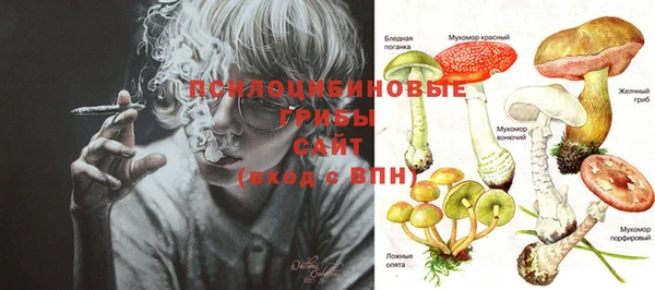 mix Новозыбков