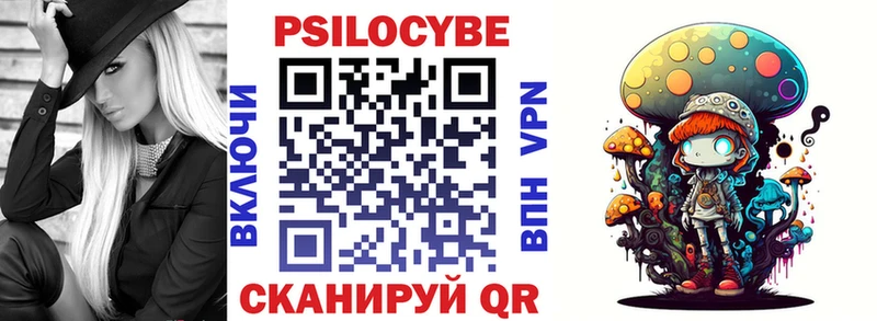 блэк спрут зеркало  как найти   Пойковский  Галлюциногенные грибы Psilocybine cubensis 
